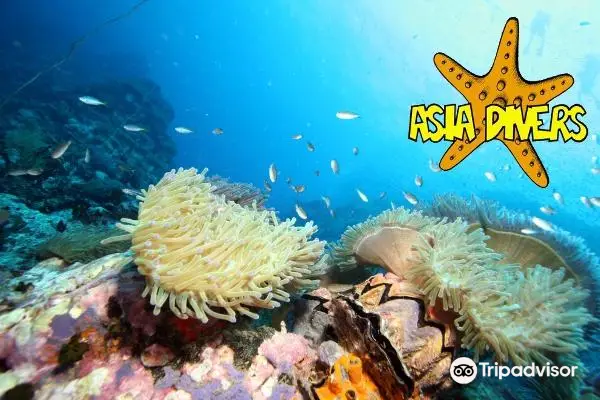 Asia Divers - Diving Center
