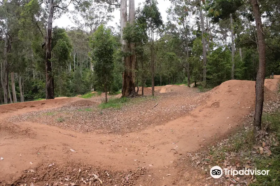 Pemberton Mountain Bike Park