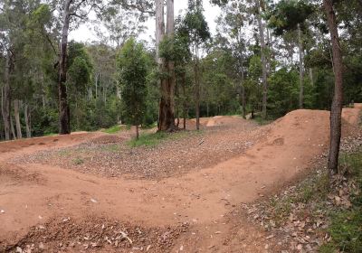 Pemberton Mountain Bike Park