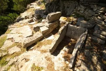 Hillfort (Gradina) Brijuni