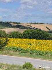 Azienda Agricola Bruscia