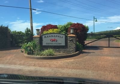 Kaanapali Coffee Farms