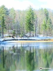 Lake Powhatan Recreation Area & Campground