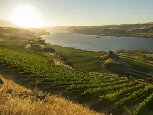 Maryhill Winery Goldendale Tasting Room & Bistro