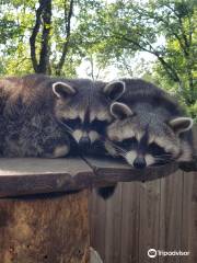 Happy Forest Parc accrobranche et parc animalier