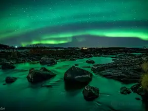 Nordic Safaris