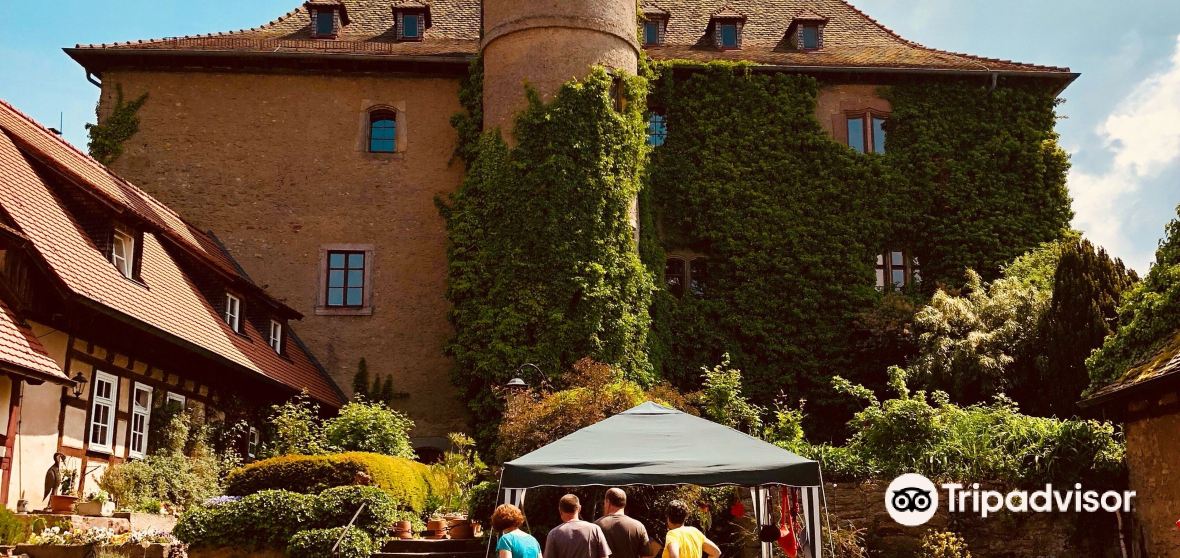 Schloss Ramholz - Schlüchtern - Vollmerz - privates Schloss