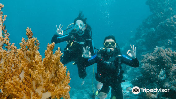 Deep Zanzibar Diving Center