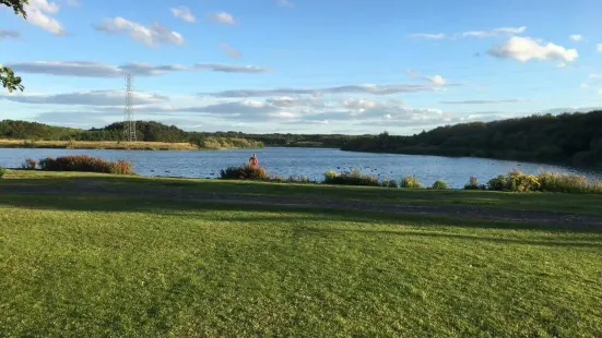 Queen Elizabeth II Country park