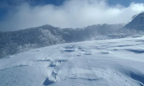 Miyagi Zao Shichikashuku
