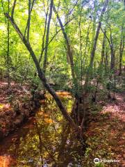 Mineral Springs Greenway