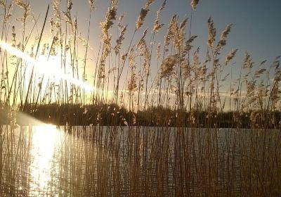 Parcs Maugrand et Saint Louis