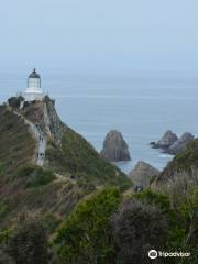 Phare de Nugget Point