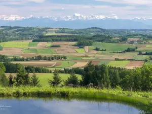 Garten der Geheimnisse