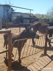 Nerja Donkey Sanctuary