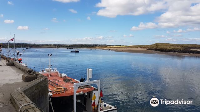 Amble Harbour Village