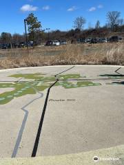 Albany Pine Bush Preserve