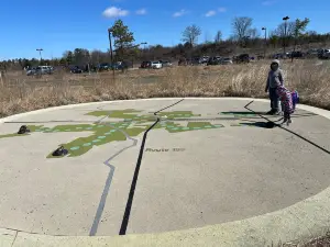 Albany Pine Bush Preserve