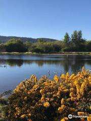 Lochore Meadows Country Park