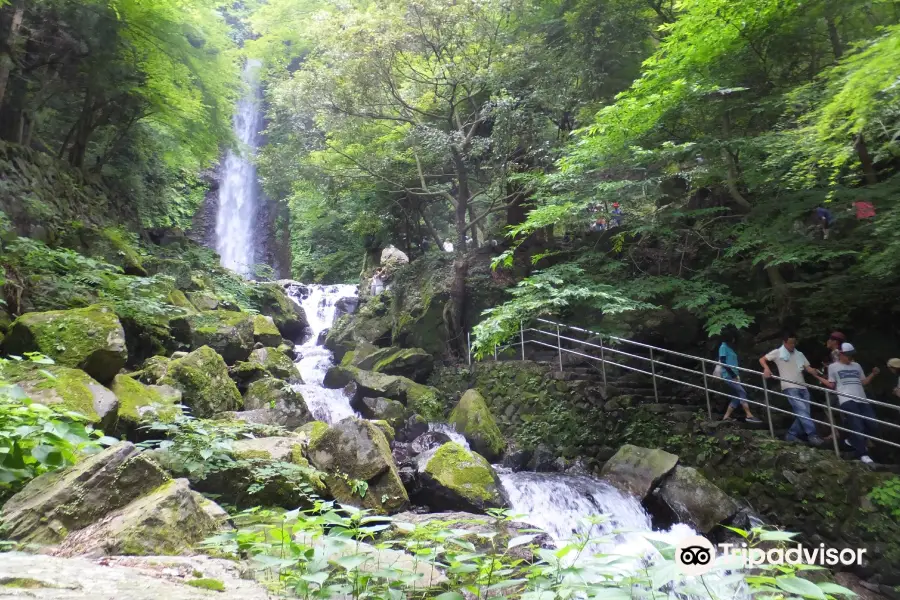 養老の滝