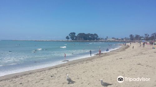 Doheny State Beach