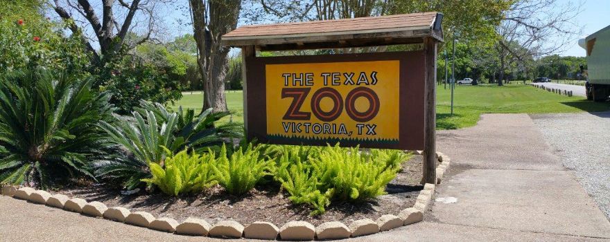 The Texas Zoo