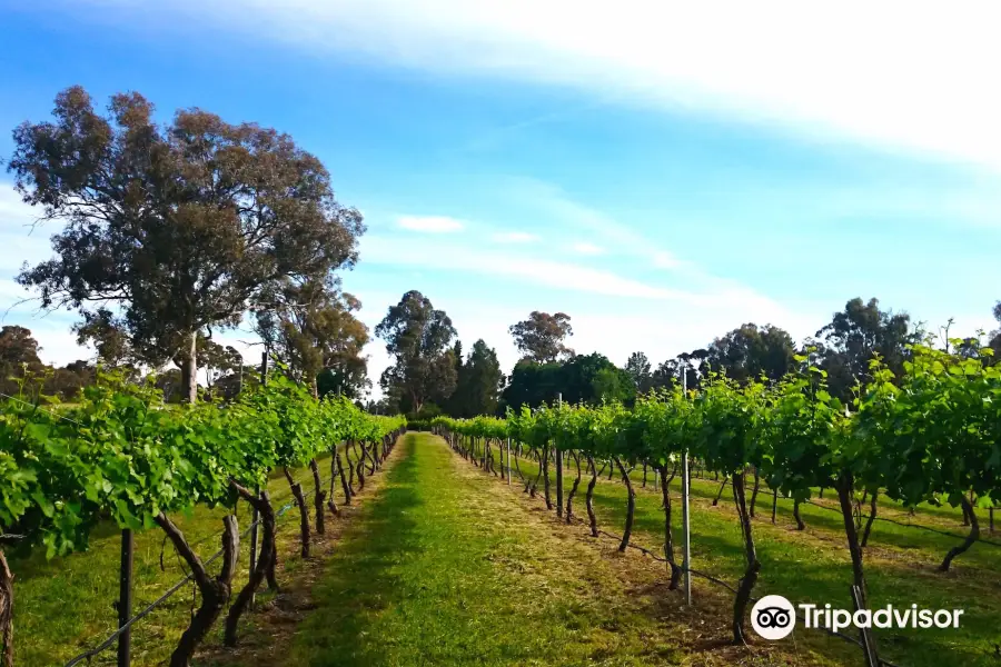 Murrumbateman Winery