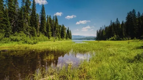 Clarks Fork Trail