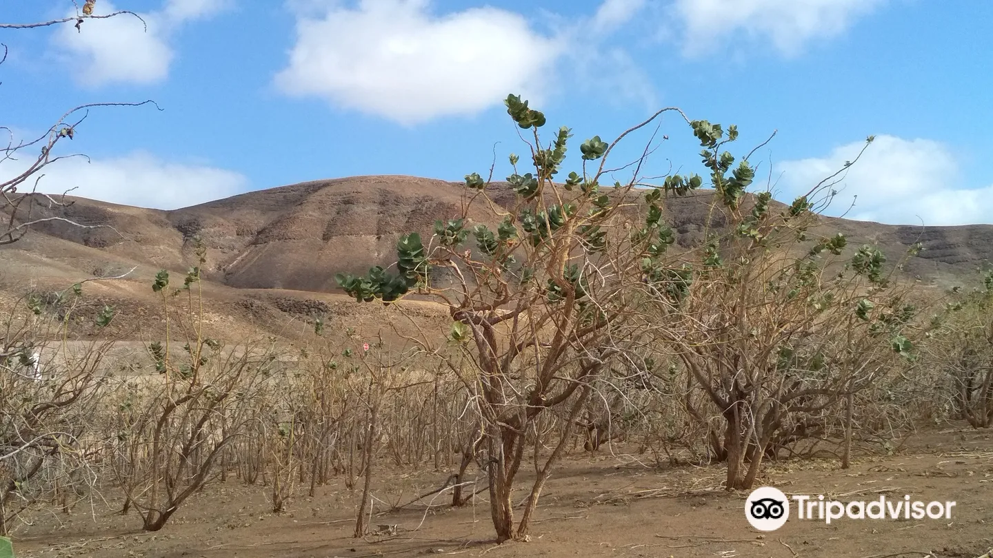 5_El Centro de Interpretacion Poblado of the Atalayita