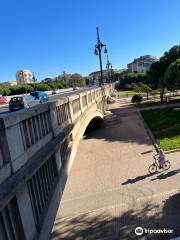 Pont d'Arago