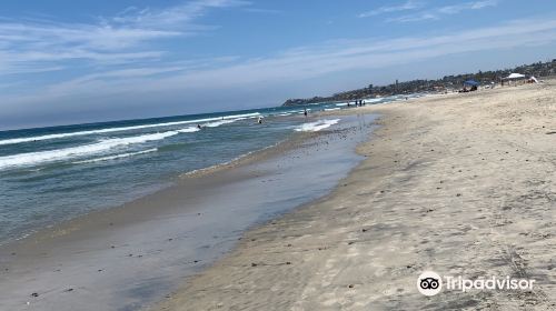 Cardiff State Beach