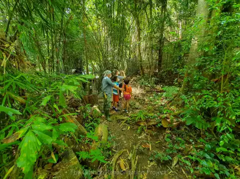 Hoteles cerca de Gibbon Rehabilitation Project