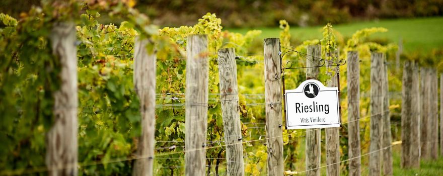 Heron Hill Winery