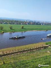 Weine mit Weitblick Winzer Lutz Müller