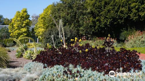 Coldwater Canyon Park