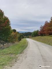 R.J. Hamer Arboretum