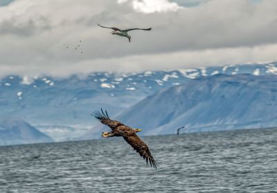 Ocean Adventures