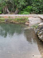 Saline Hot Springs