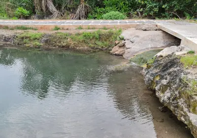 Surat Thani