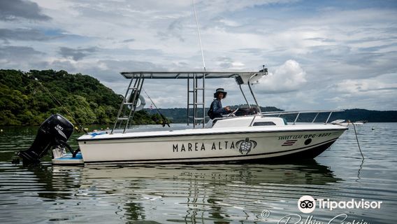 Marea Alta Ocean Adventures