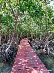 Salakphet Mangrove Walkway