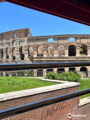 City Sightseeing Rome Hop-on Hop-off Bus