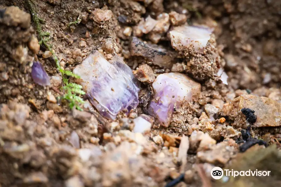 Amethysts Auvergne - Mine Pégut