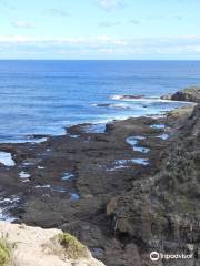 Cape Nelson State Park