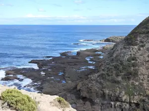 Cape Nelson State Park