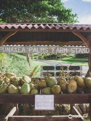 Punakea Palms Coconut Farm