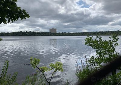 Fresh Pond Reservation