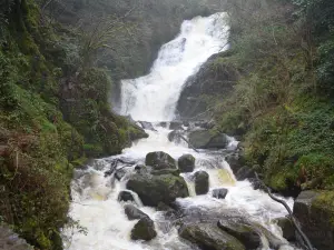 Torc Waterfall