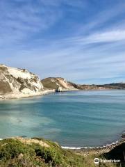 South West Coast Path- Lulworth Cove & The Fossil Forest Walk