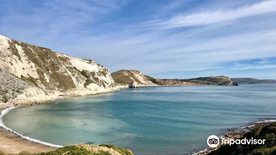 South West Coast Path- Lulworth Cove & The Fossil Forest Walk